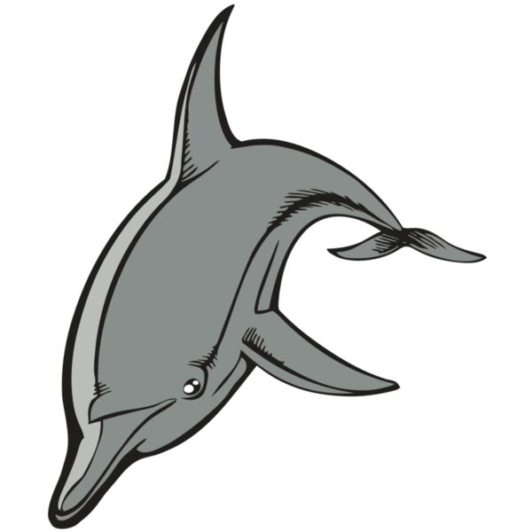 BAW DOLPHIN 03 RC Thumbnail